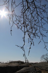 Aurinkoinen kevätpäivä Helsingin Kaivopuistossa huhtikuussa 2011.