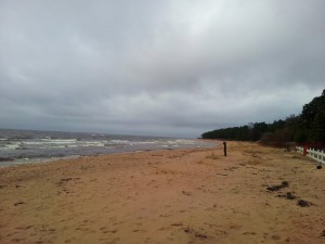 Kuva3: Jäästä eikä lumesta ollut enää tietoakaan Latvian rannikkolla Riianlahdella 17.2.