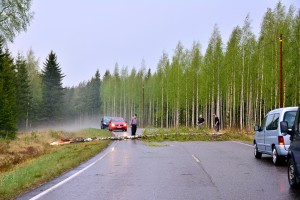 Kuva 11: Liesjärvellä ukkospuuskat olivat tehneet tuhojaan. Liikenne oli hetken aikaa poikki tielle kaatuneen koivun vuoksi.