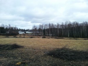 Kuva 6: Poikkeuksellisen vähäluminen Keski-Suomi  10.3. (Jyväskylä, Palokka)