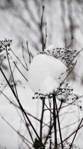 Lumikuormaa on isoa ja pientä, ja eri tavoin sitä voi kannatella. Kuva: smerlkal/flickr.