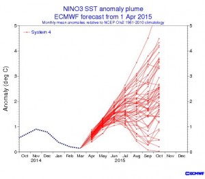 Kuva 3: El Niño -pluumiennuste. Ilmiön todennäköisyys kasvaa kesää kohden ja osa malleista saa loppuvuodeksi hyvinkin voimakkaan El Niñon. (kuva: ECMWF)