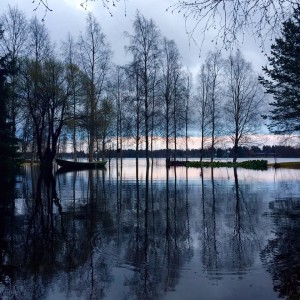 Kuva 2: Iijoki on noussut poikkeuksellisen korkealle Pudasjärvellä. (kuva: Tuomas, Oulu)